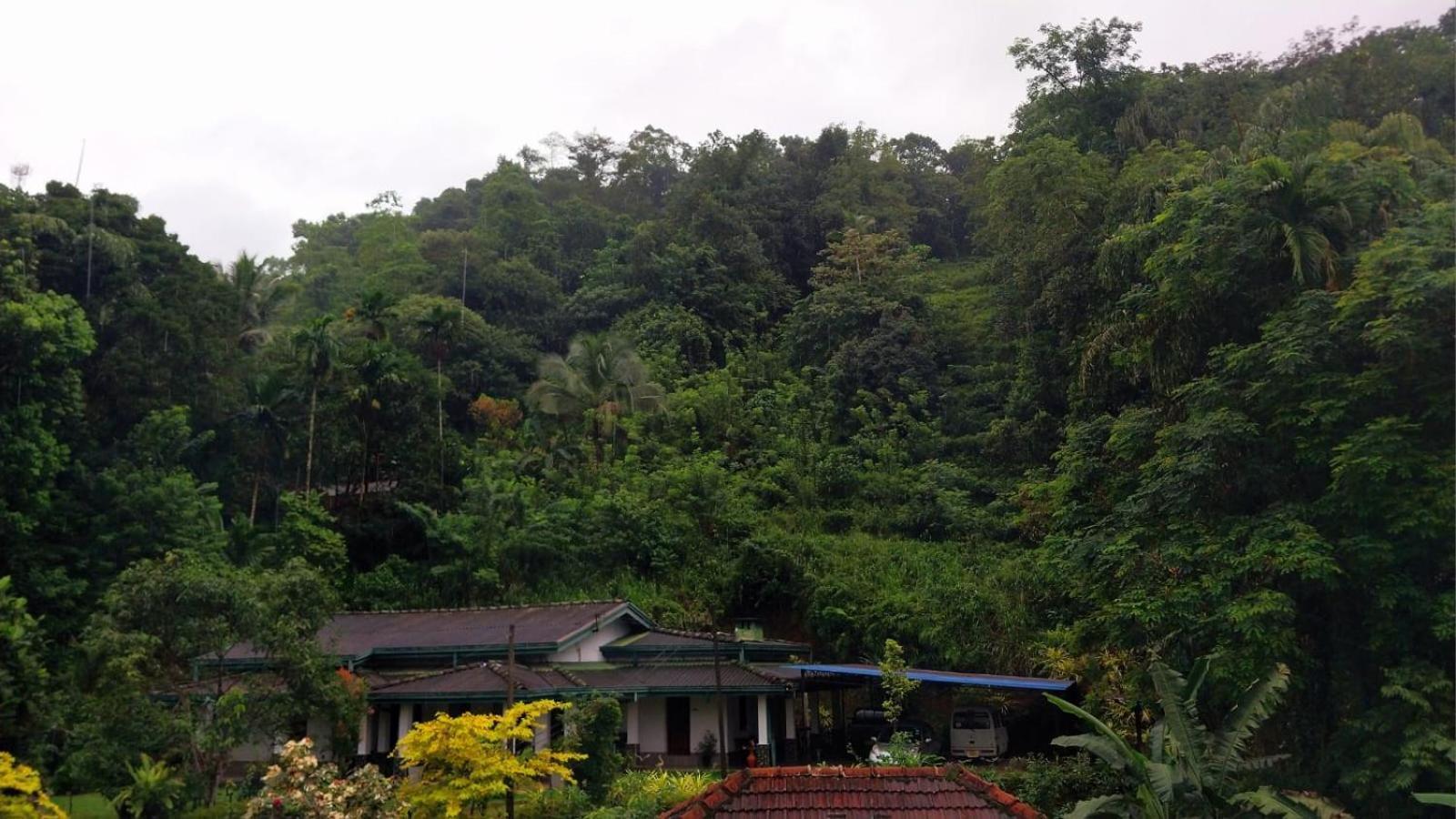Salmanel Resort 拉特纳普勒 外观 照片